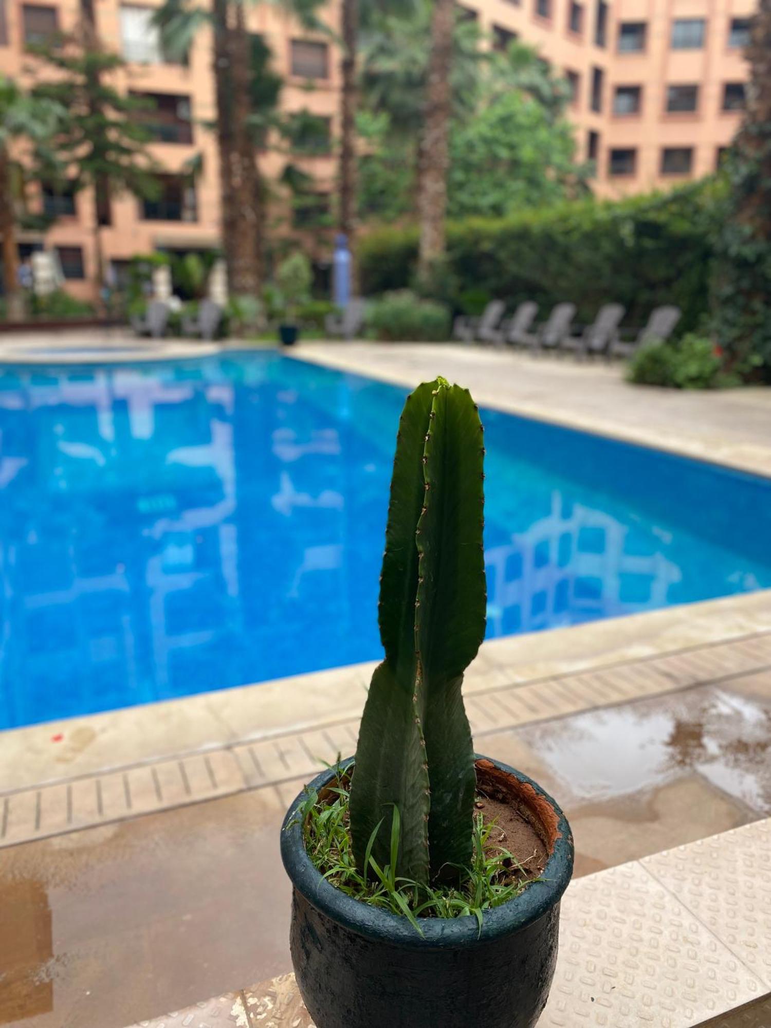 Residence Caprice Palace Hivernage Marrakesh Exterior photo